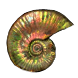 File:Ammonite Glyph inventory icon.png