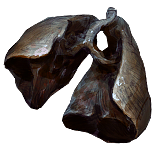 File:Malachai's Lungs inventory icon.png
