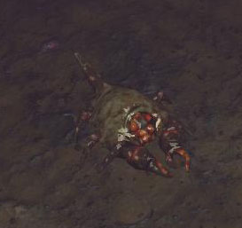 File:Bestiary shield crab.jpg