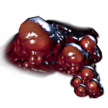 File:Bulbous Flesh inventory icon.png