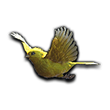 File:Canary Pet inventory icon.png