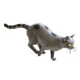 File:Afterlife Cat Pet inventory icon.png