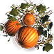 File:Pumpkins inventory icon.png