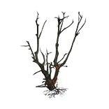 File:Burned Tree inventory icon.png