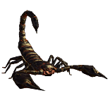 File:Ebony Scorpion Pet inventory icon.png