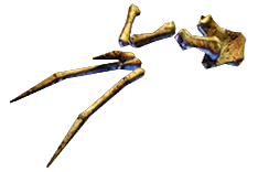 File:Whale Skeleton Arms inventory icon.png