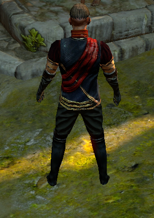 File:Waxed Garb Back.png