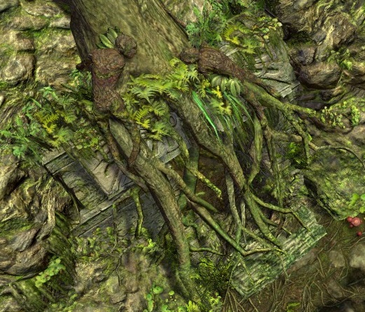 File:The Wetlands tree roots.jpg