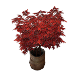 File:Maple Tree inventory icon.png