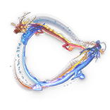 File:Dual Dragon Aura Effect inventory icon.png