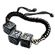 File:Thief's Trinket inventory icon.png