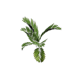 File:Fern inventory icon.png