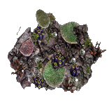 File:Coral Formation inventory icon.png