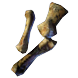File:Whale Skeleton Bones inventory icon.png