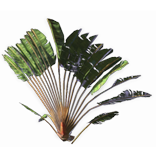 File:Ravenal Tree inventory icon.png