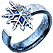 File:Call of the Brotherhood winterheart inventory icon.png