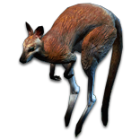 File:Wallaby Pet inventory icon.png