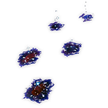File:Celestial Footprints Effect inventory icon.png