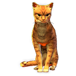 File:Orange Cat Pet inventory icon.png