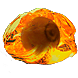 File:Hollow Fossil inventory icon.png