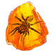 File:Shuddering Fossil inventory icon.png
