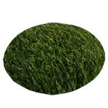File:Grass Patch inventory icon.png