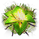 File:Horticrafting Blossom inventory icon.png