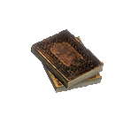 File:Oriathan Books inventory icon.png