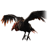 File:Circling Vulture Pet inventory icon.png
