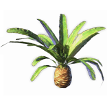 File:Bulb Palm inventory icon.png