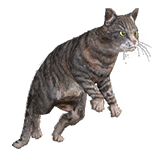 File:Tabby Cat Pet inventory icon.png