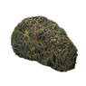 File:Overgrown Boulder inventory icon.png
