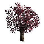 File:Plum Blossom inventory icon.png