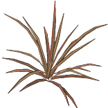 File:Flax Plant inventory icon.png