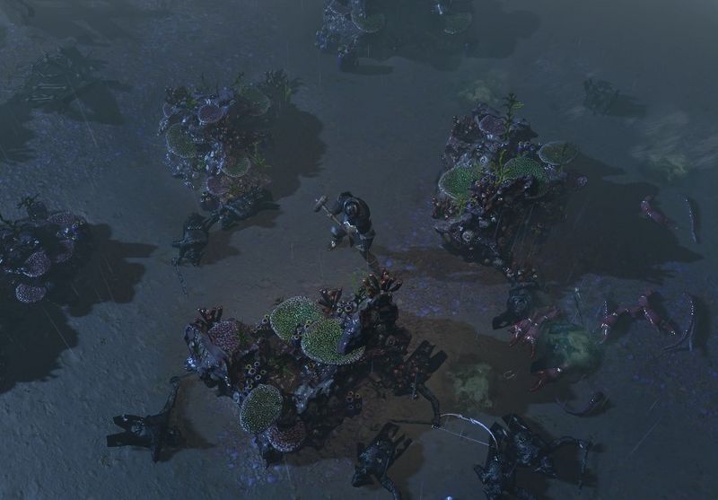 File:The Brine King's Reef area screenshot.jpg