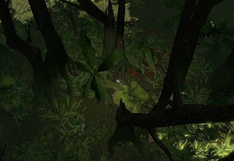 File:The Southern Forest (Act 2) area screenshot.jpg