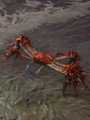 Savage Crab