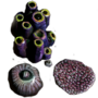 Thumbnail for File:Beach Coral inventory icon.png