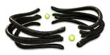 Darkness Enthroned inventory icon.png